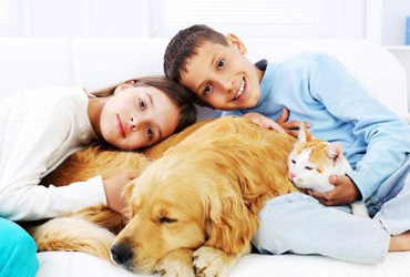 做好一名的养宠达人,宠物的日常清洁要注意,这样才算合格